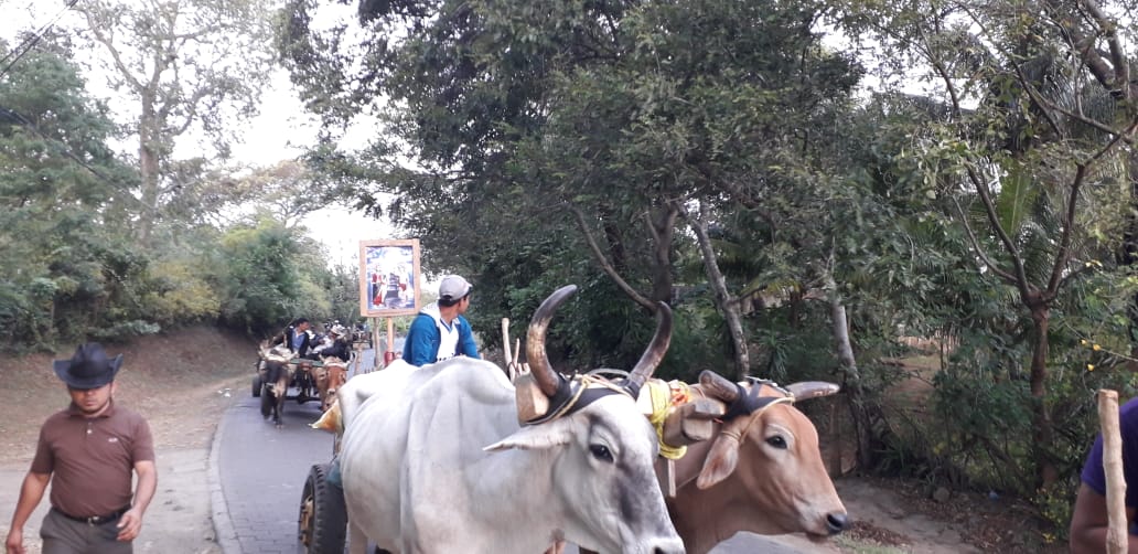 CARRETA5
